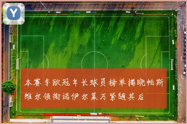 本赛季欧冠年长球员榜单揭晓帕斯维尔领衔诺伊尔莱万紧随其后