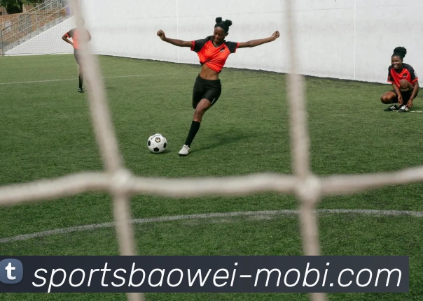 宝威体育品牌故事